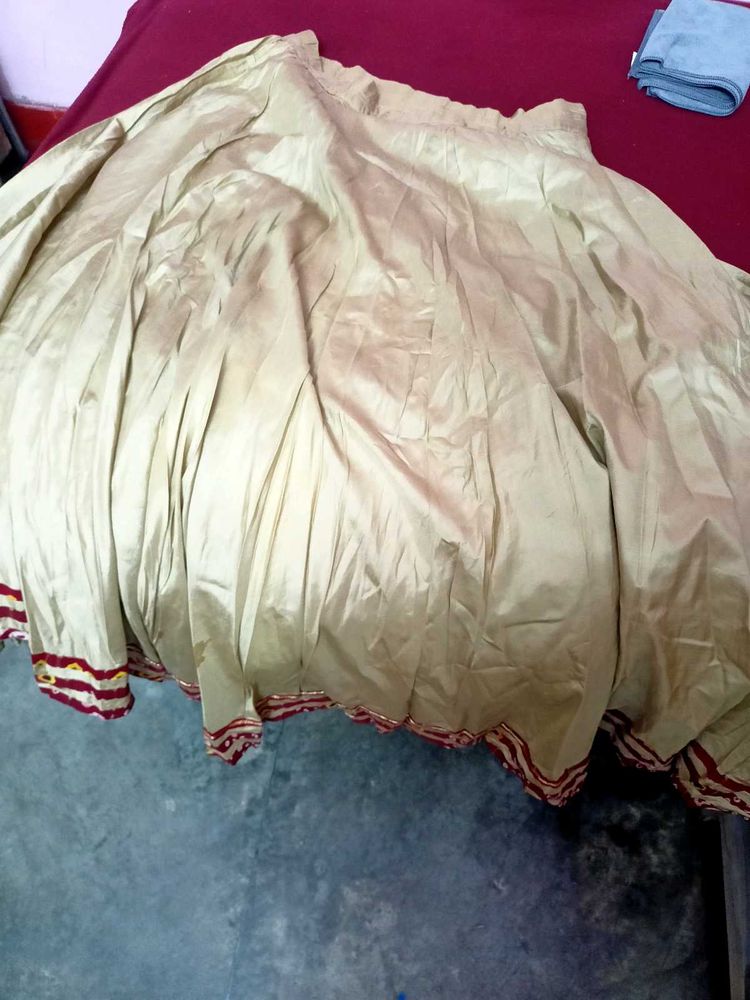 Ethnic Skirt blouse with Detailed Border