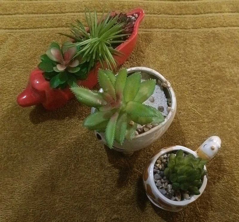 3-Pcs Combo Cute Artificial Succulent Set