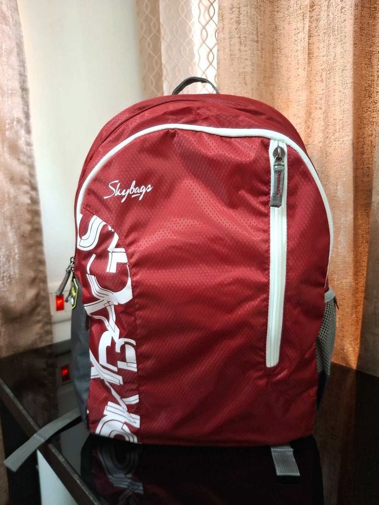 Skybags Bagpack