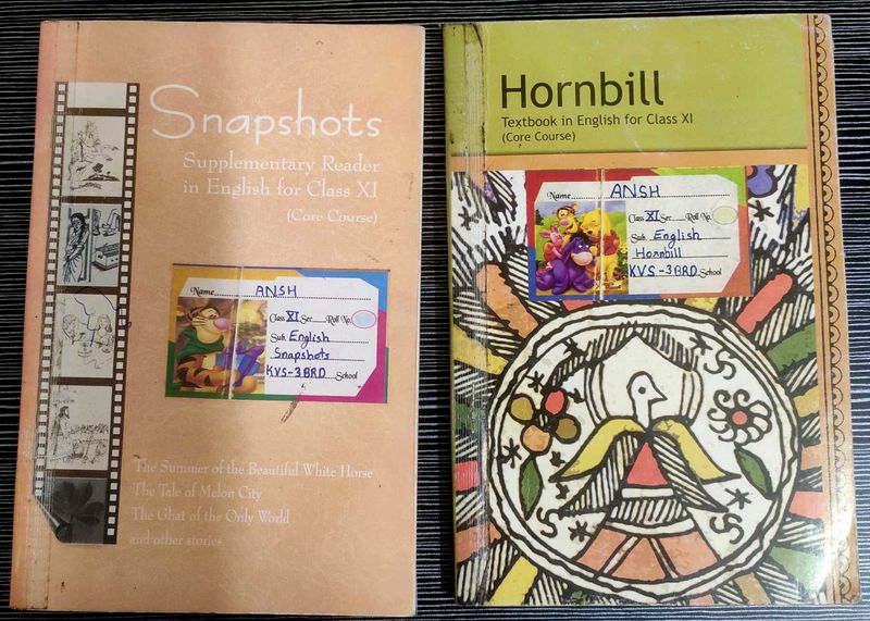 Snapshot, Hornbill Class 11th English