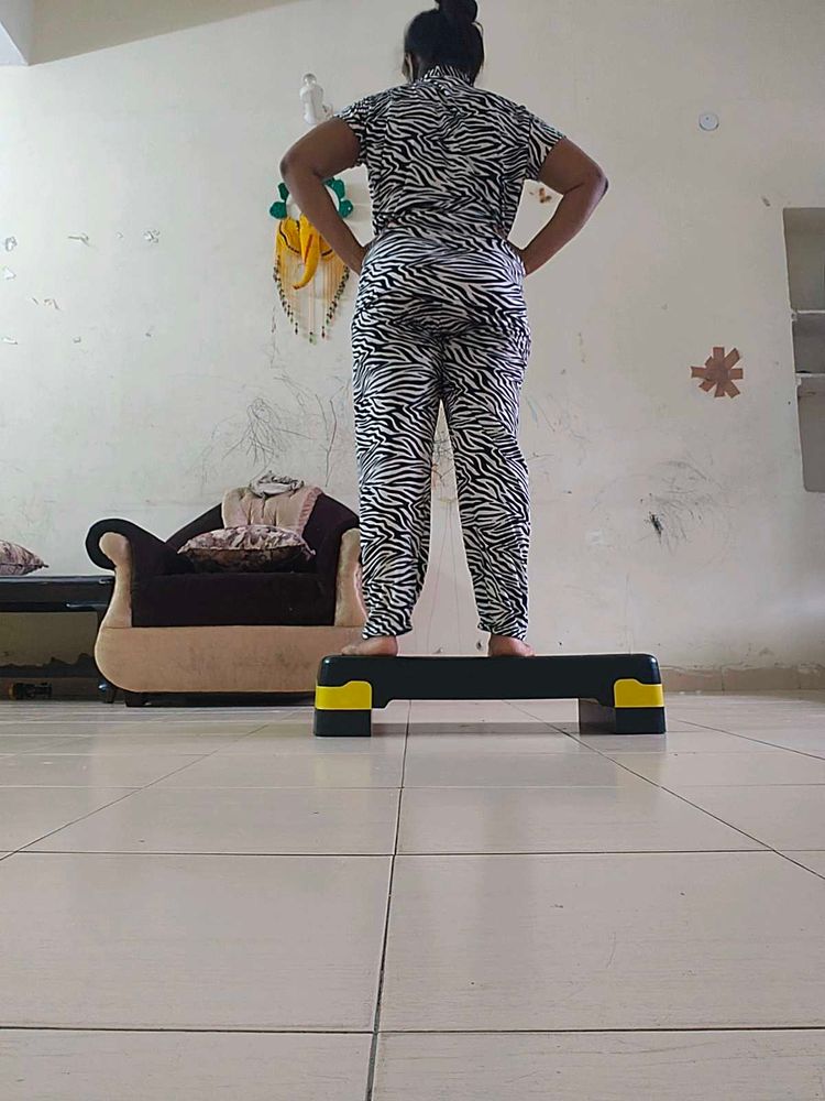 Fitness Stepper