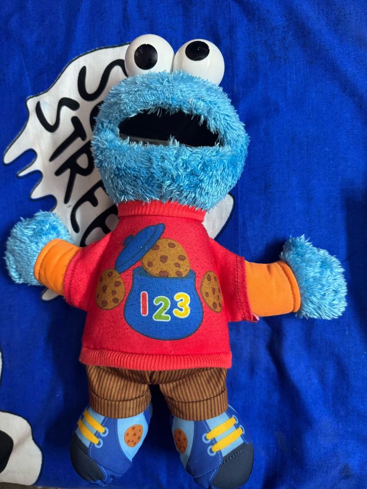 COOKIE MONSTER With Flaw ( Sale )