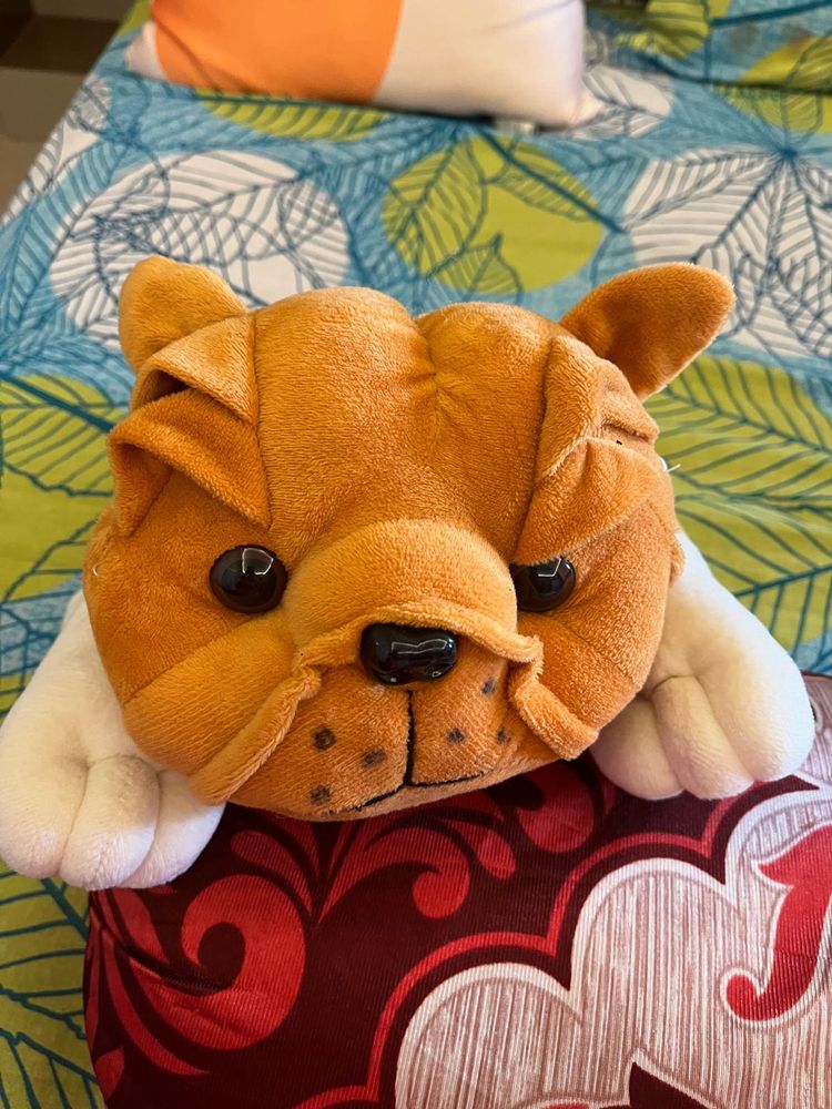 Cute Plush Dog soft toy