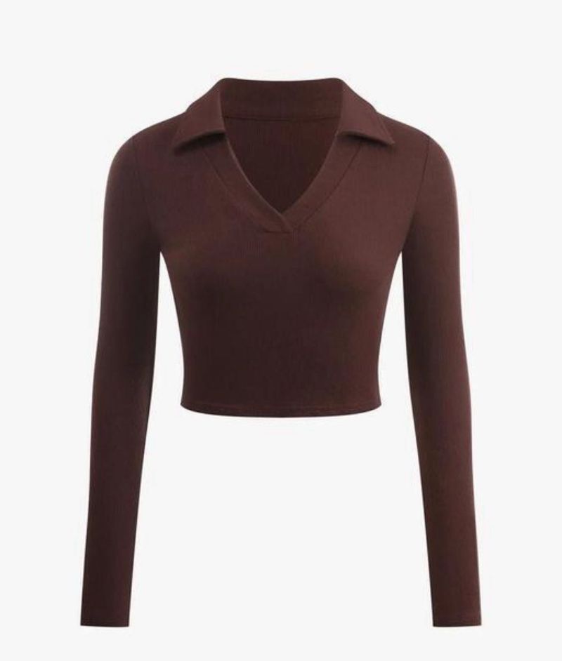 Brown Long Sleeve Crop Top