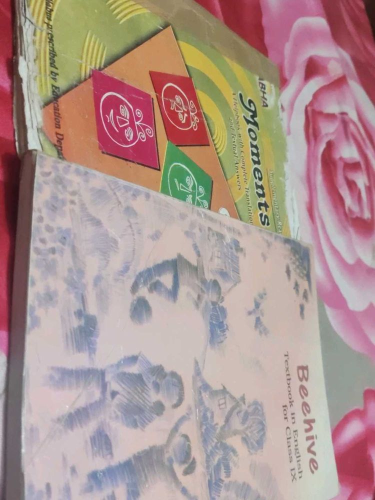 Class 9 English Books for Sale – Beehive &amp; Moments