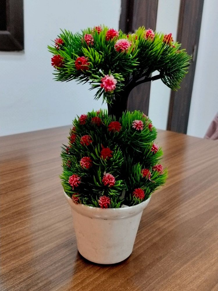 🌲 Tree