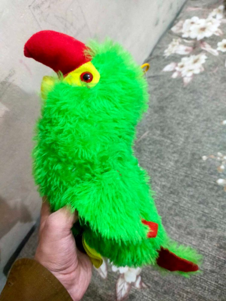 Bird toys combo pack!!