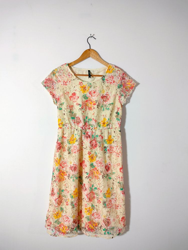 Multicolour Casual Dresses (Women&#39;s)
