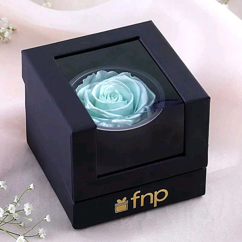 FNP Preserved Rose