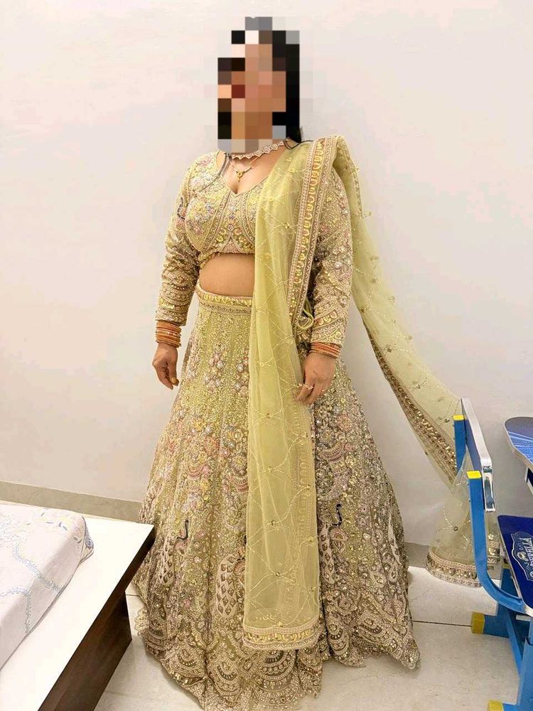 Gorgeous Embroidered Lehenga Choli