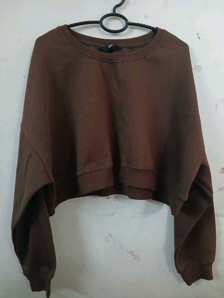 Brown Cropped Sweatshirt
