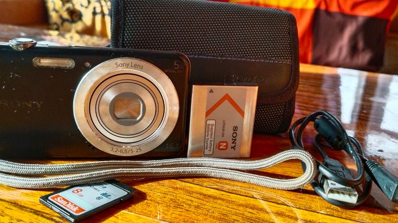 Sony CyberShot DSC-W710 16.1MP Point-and-Shoot Digital Camera