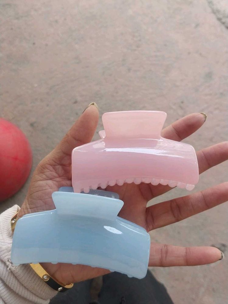 Pastel Claw Clip Set