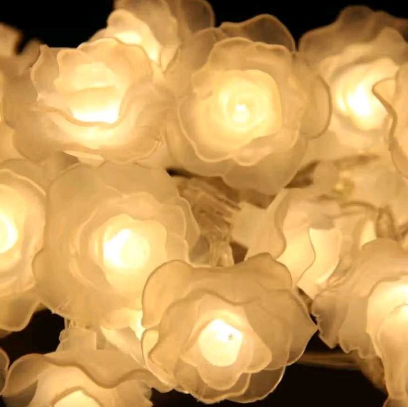 Rose Lights for Diwali!