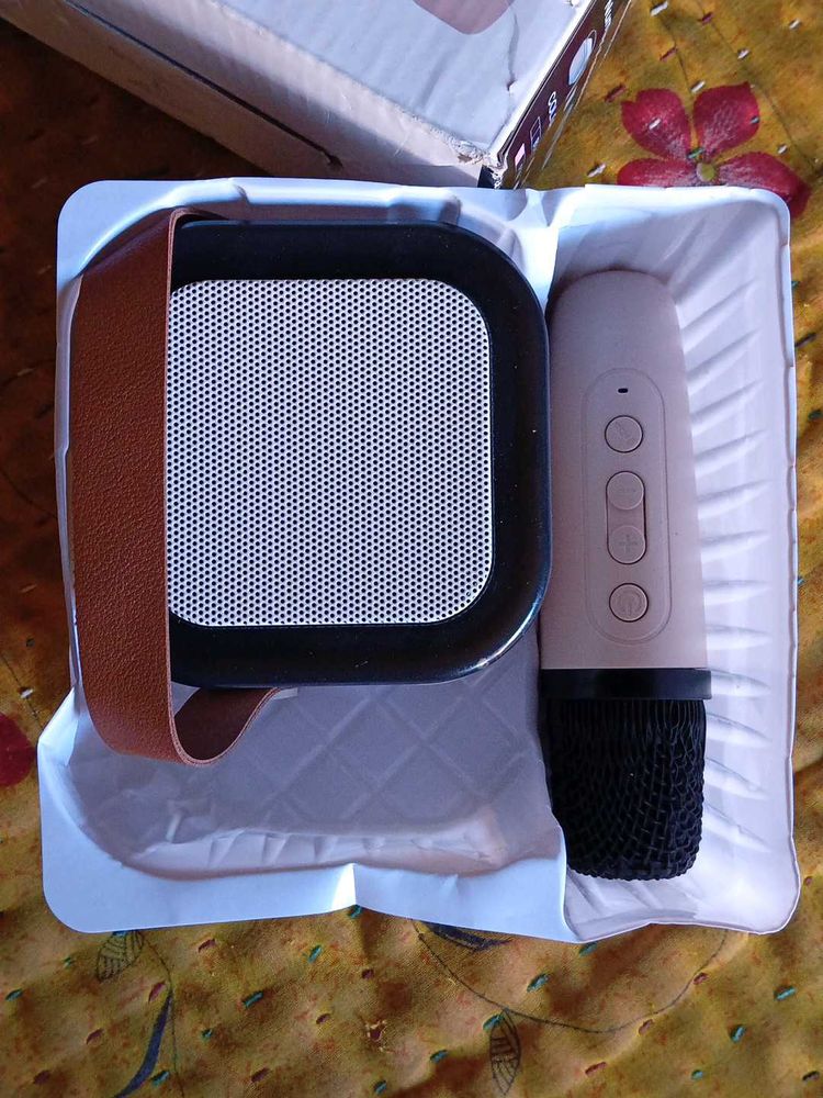 Foldable Speaker