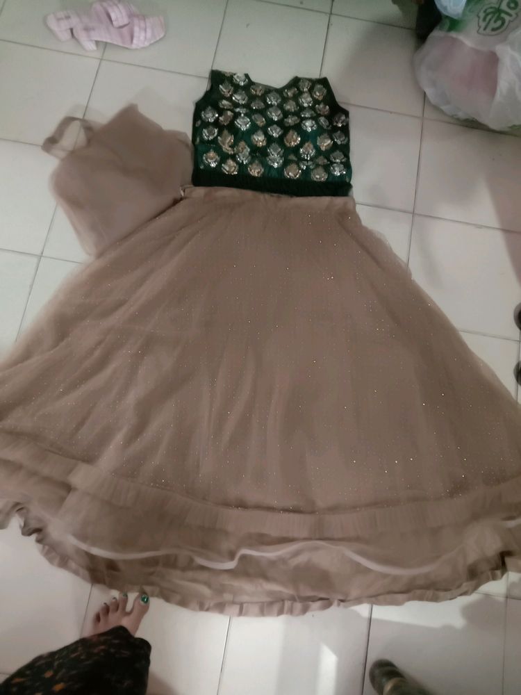 Lehnga  Choli Dress