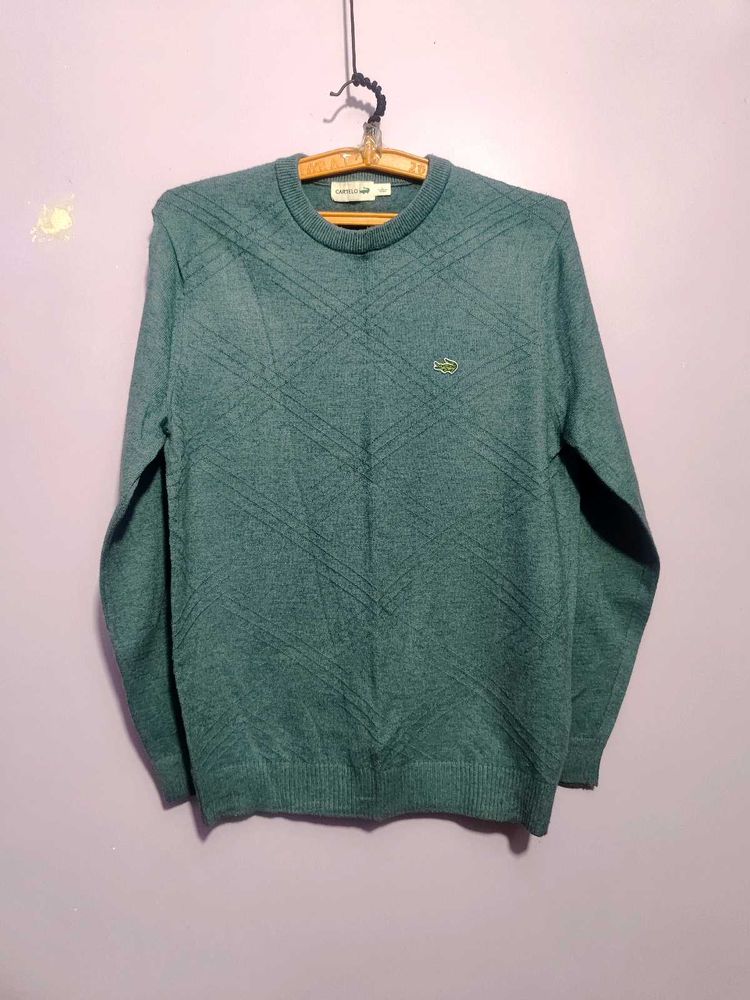 crocodile Green Sweater