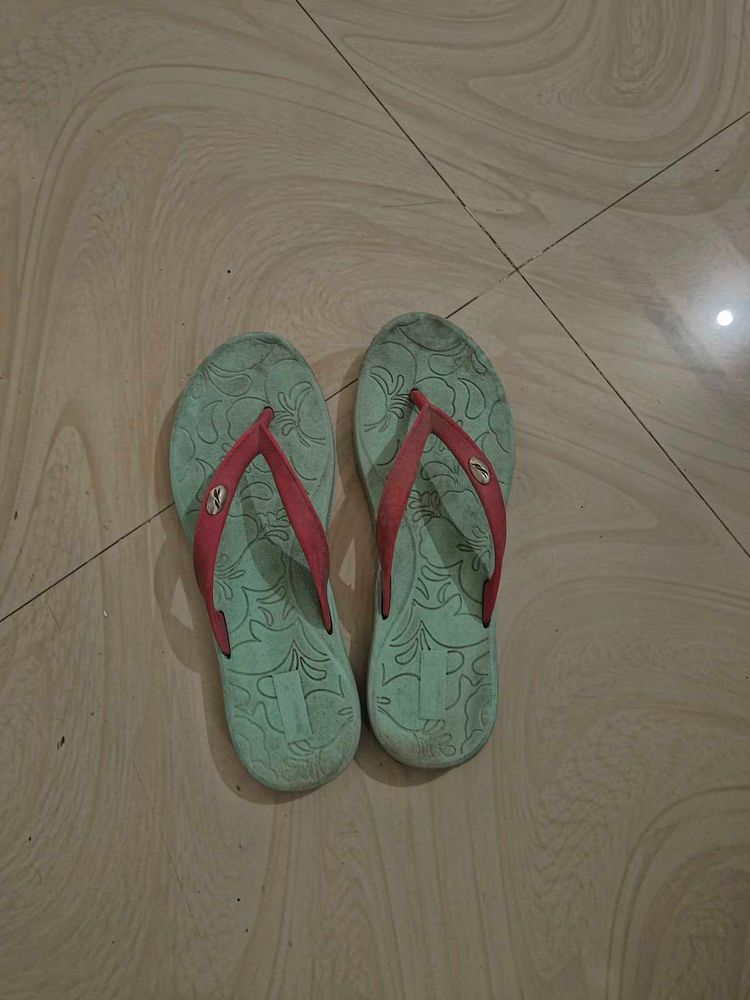 Blue Slipper