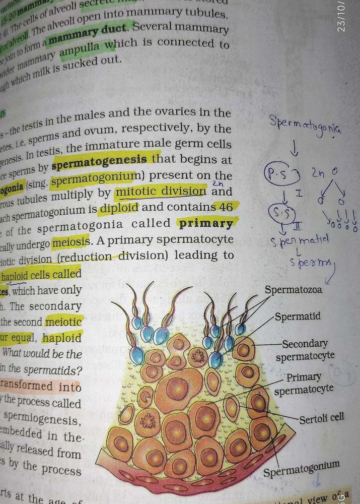Biology, Physics textbook of 12th standard