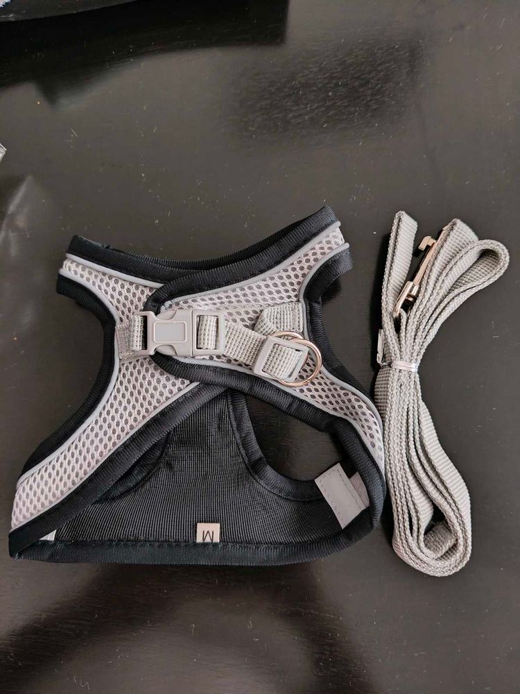 Pet Harness with Leash
