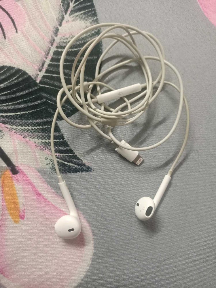 Apple Earphone Original Lightning Port