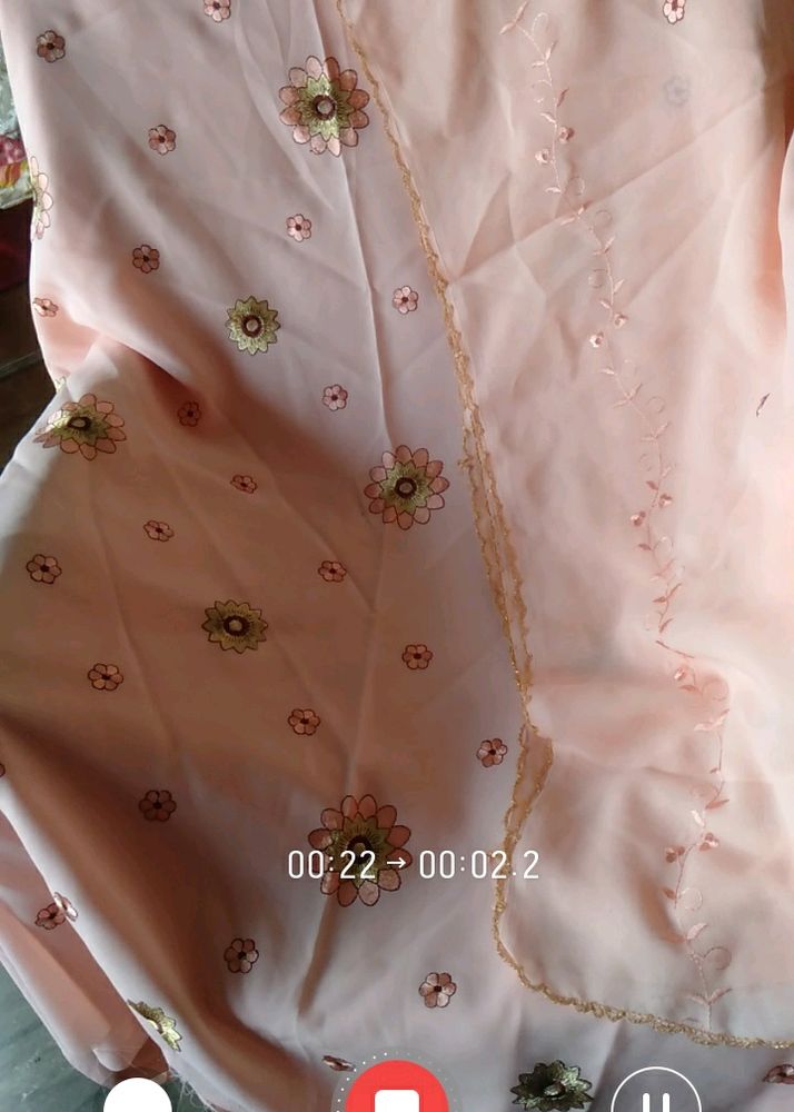 Beautiful Colour With Light Embroidery