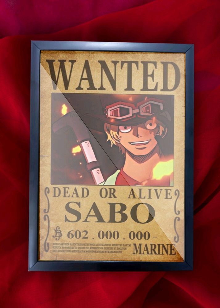 SABO Dead or Alive Wall Frame 1 Pcs for Anime Fans