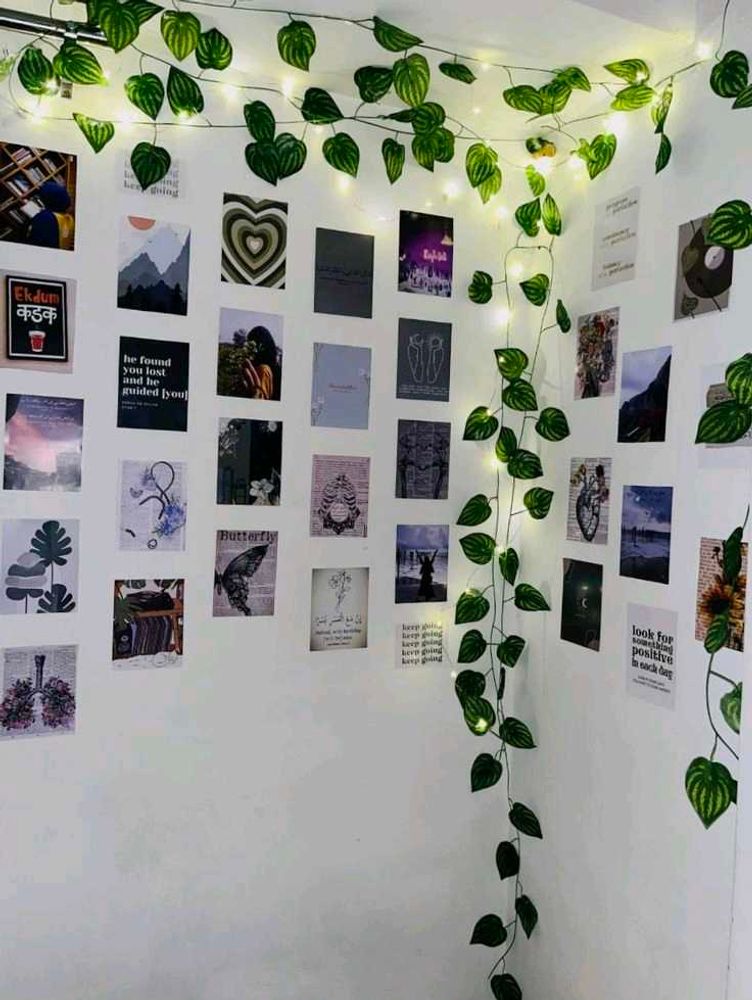 Artificial Money Plant