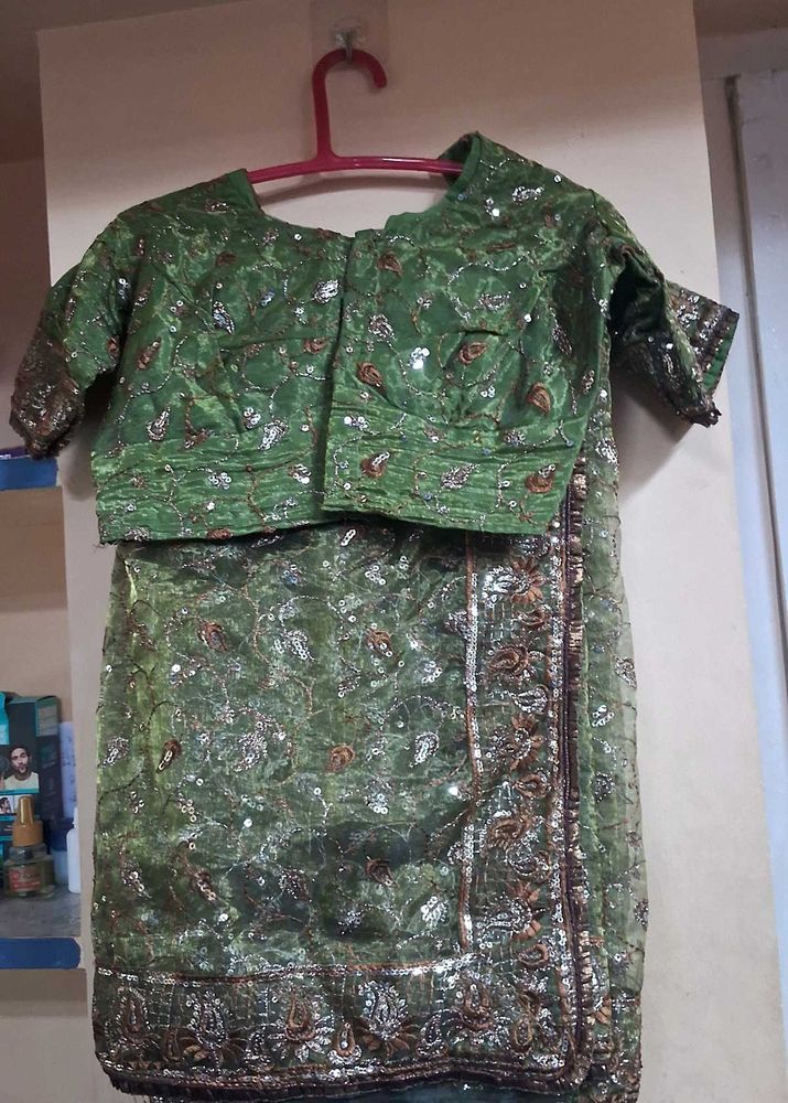 Green Net Designer Chamki Work  Embellished Saree