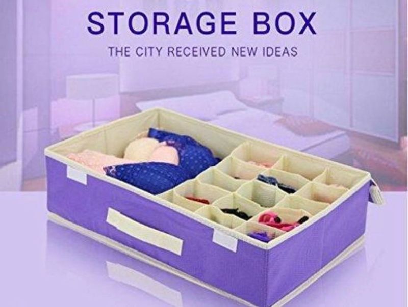 Divided Storage organizer Box
