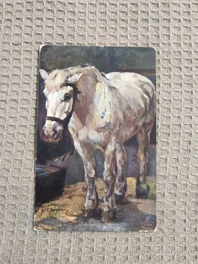Vintage Horse Art Postcard From Tucks London
