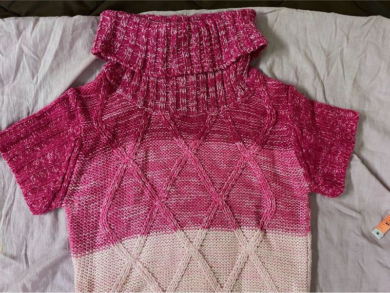 Turtle Neck Knit Dress