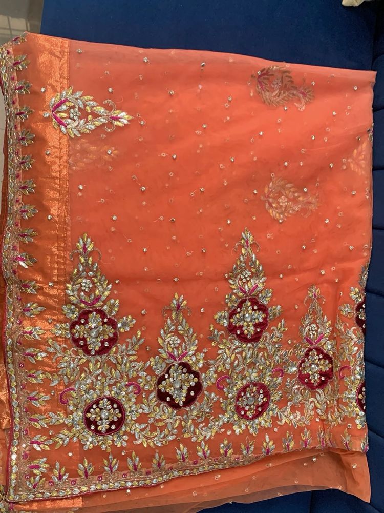 Gorgeous Orange Indian Saree