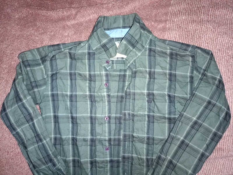 Green Colour Check Shirt With Button-Down.