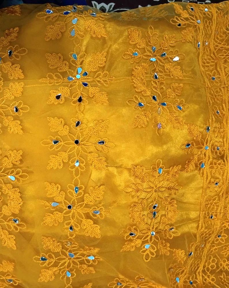 TURMERIC COLOR LAHANGA🥰