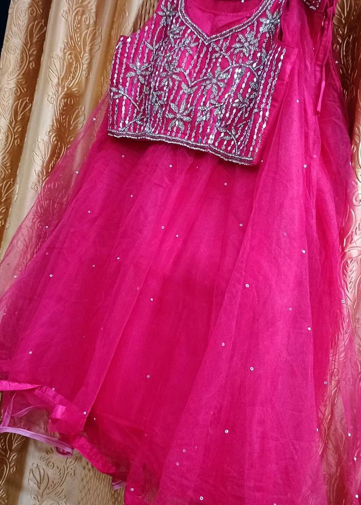 Pink Embellished Lehenga Choli