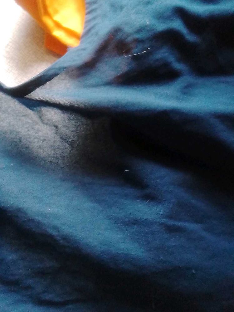 Blue Colour Saree Blouse