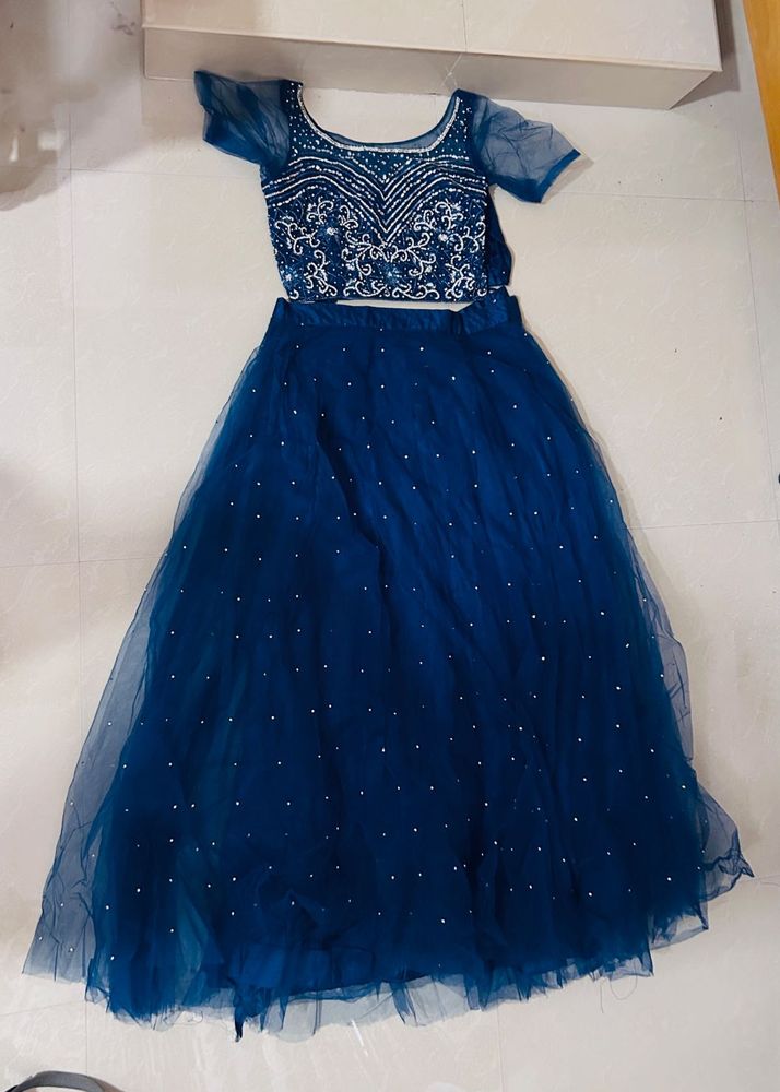 Blue Embellished Lehenga Choli