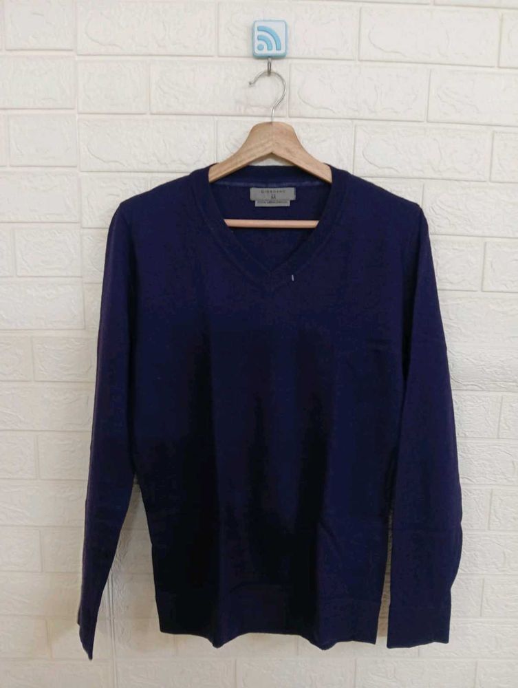 Men&#39;s V-neck Long Sleeve Sweater
