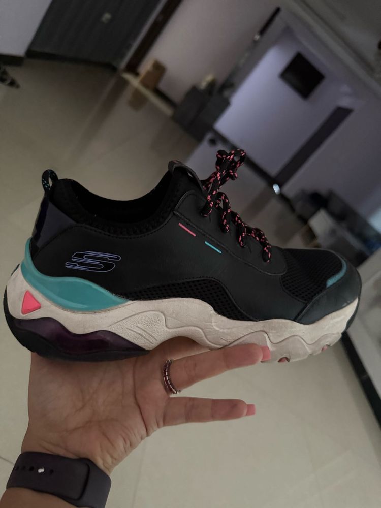 Sketcher’s Limited Edition  Uk 7