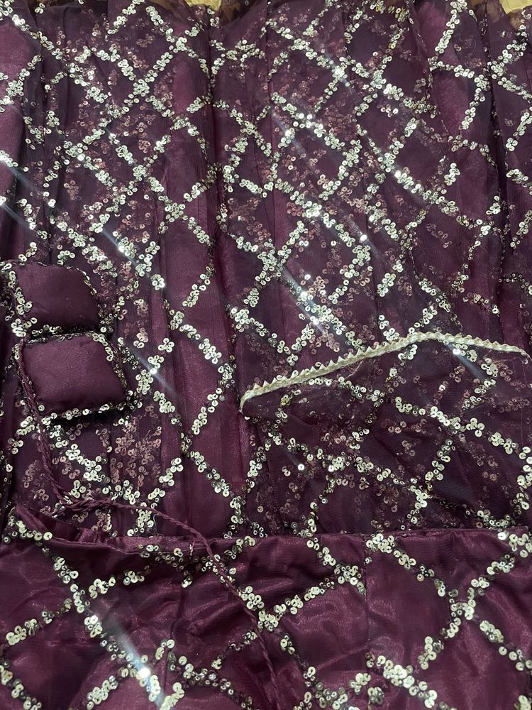 Sequin Embellished Lehenga Choli