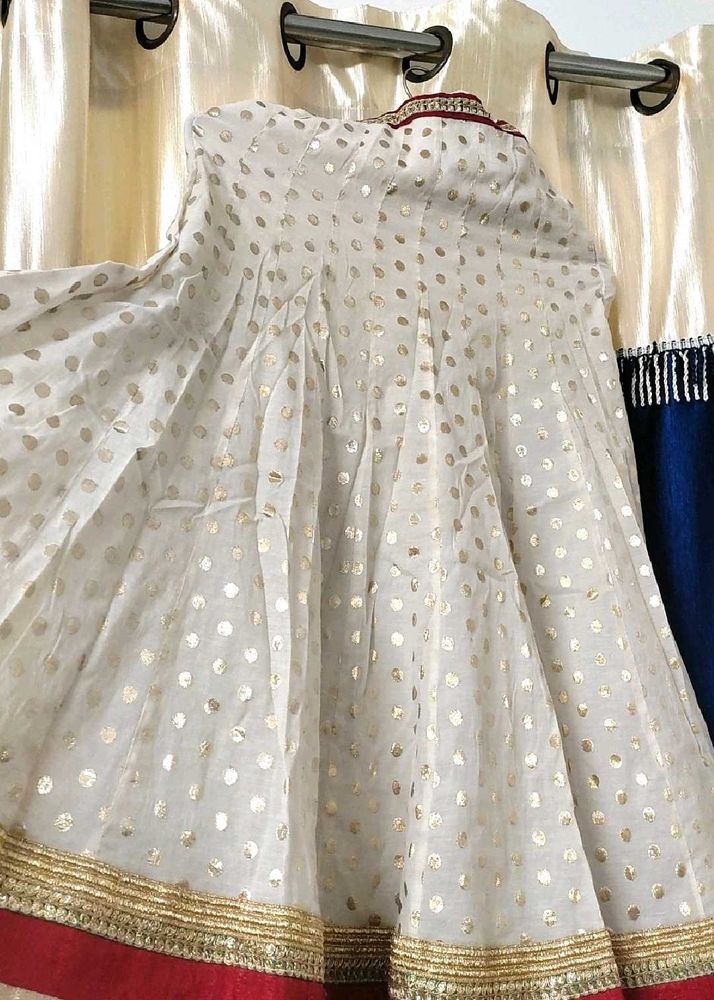 polka skirt/lehanga dress