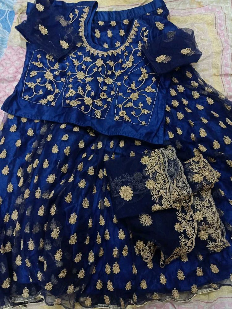 Stunning Blue &amp; Gold Embroidered Lehenga Choli