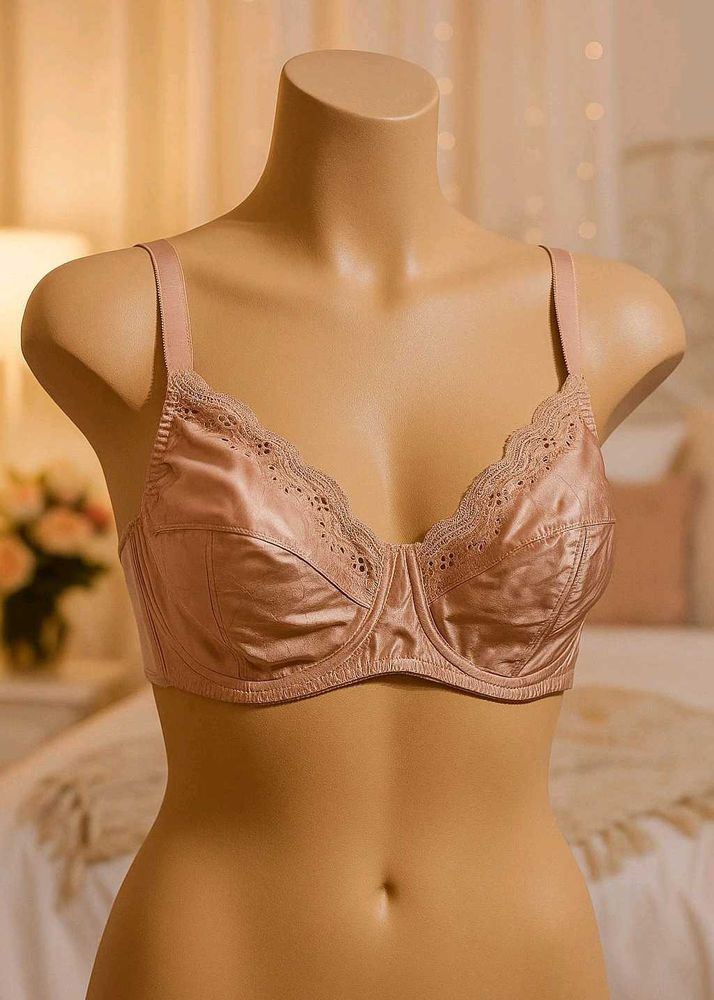 🇳🇿💫💗 Imported Stuff Silky Shiney Bra
