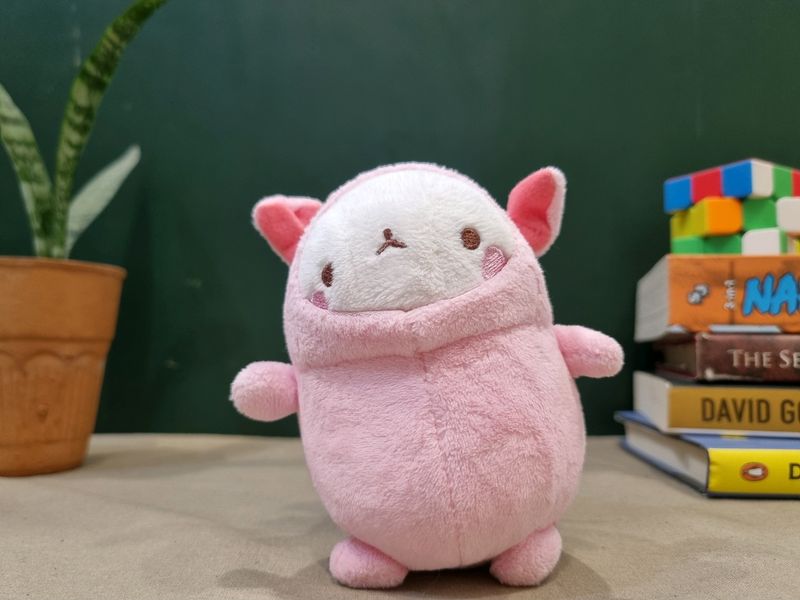 Molang Piggy Hoodie Rabbit Mini Plush Toy Keyring