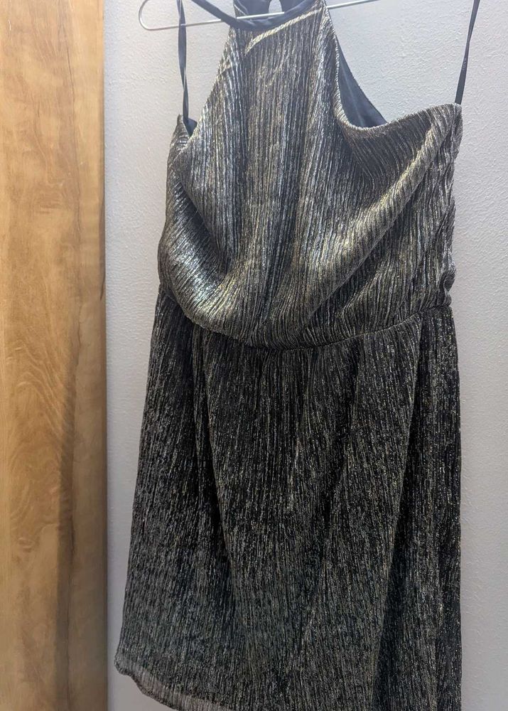 Shiny Dress