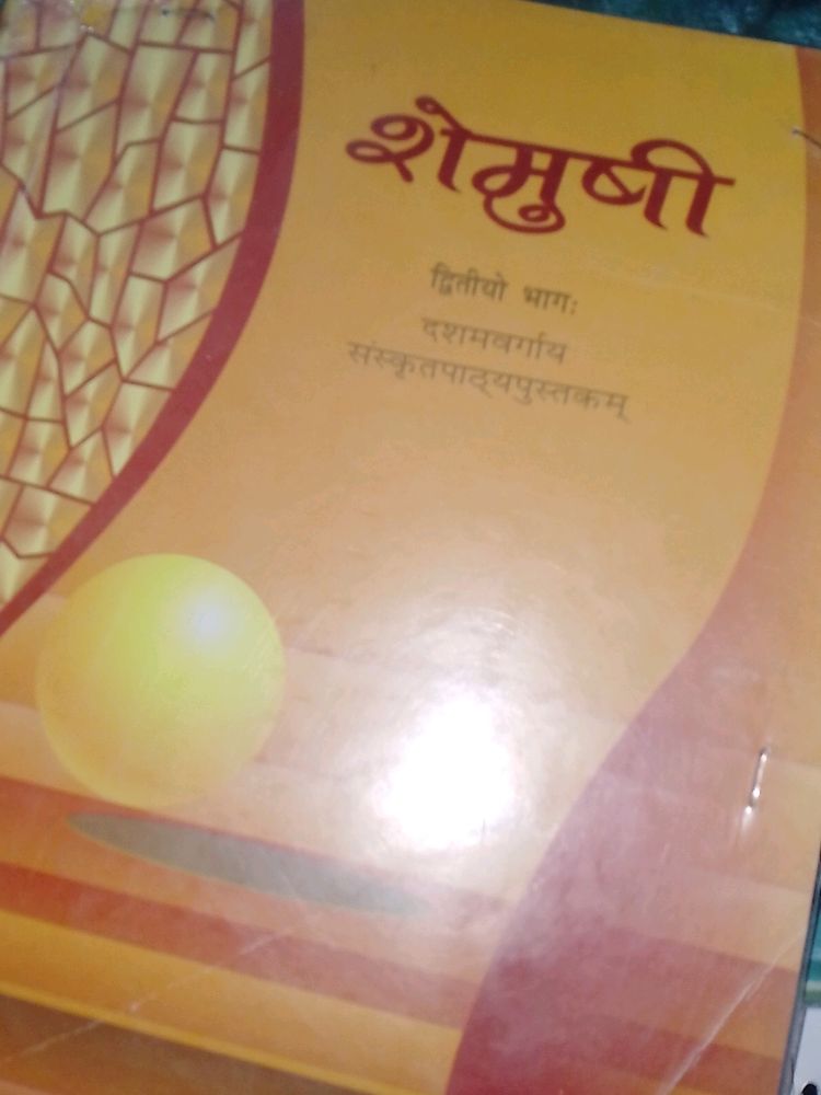 Cbse Class 10th Sanskrit Book