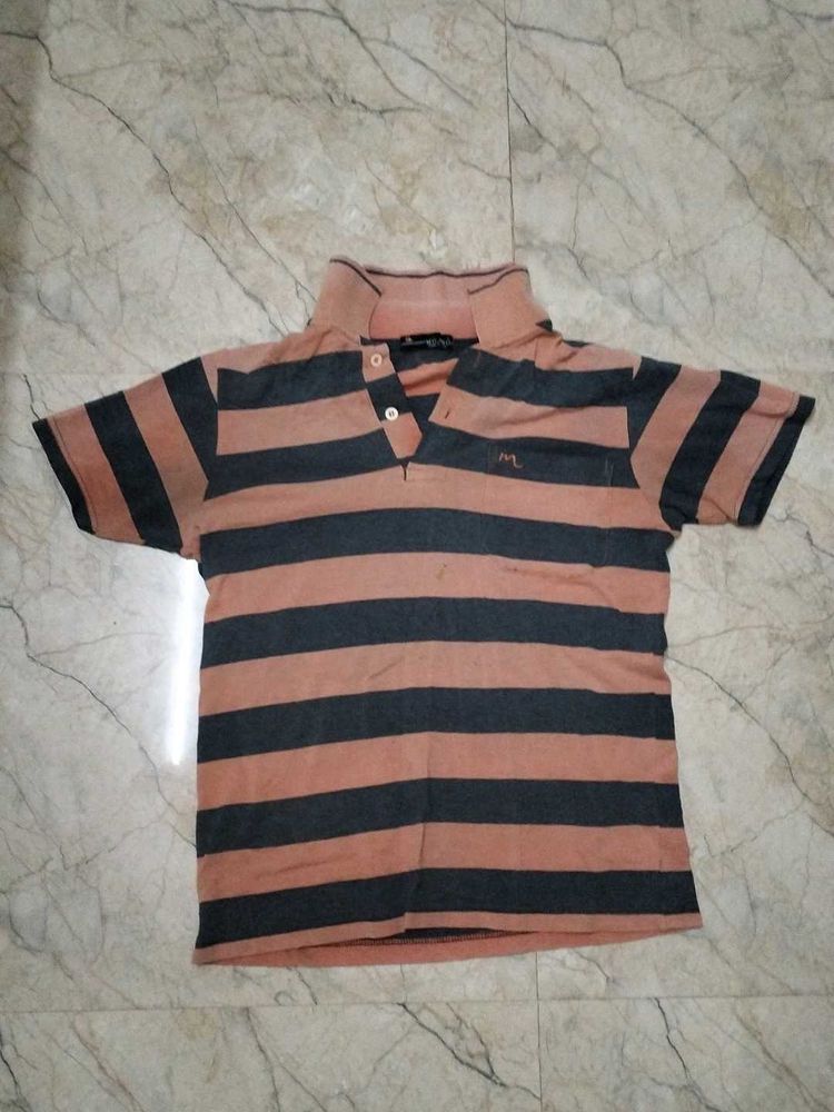 Striped Polo Shirt