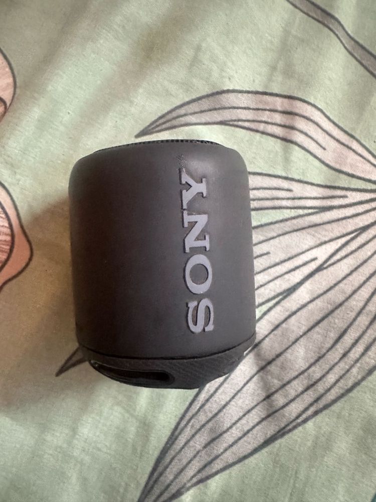 Sony Portable Speaker