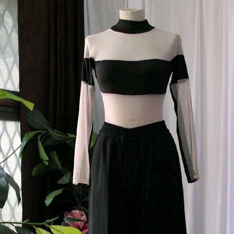 Sheer Panel Crop Top